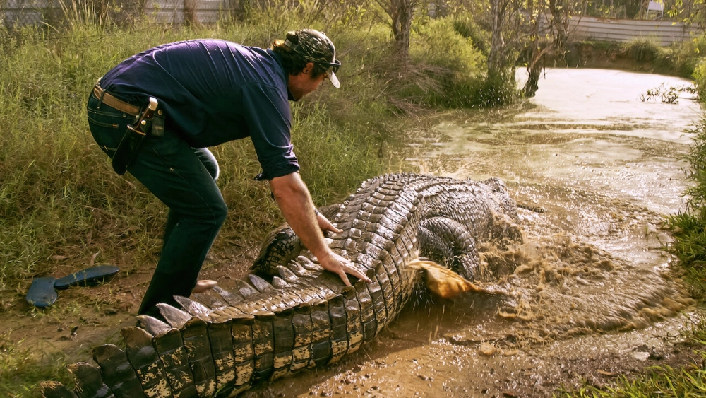 ảnh poster phim Lãnh địa cá sấu hoang (Wild Croc Territory)