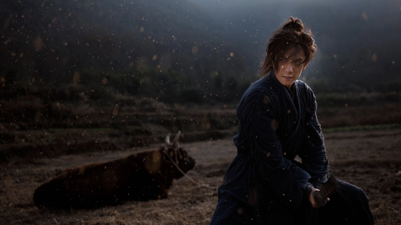 ảnh poster phim Lệnh Truy Nã Giang Hồ (Wanted)