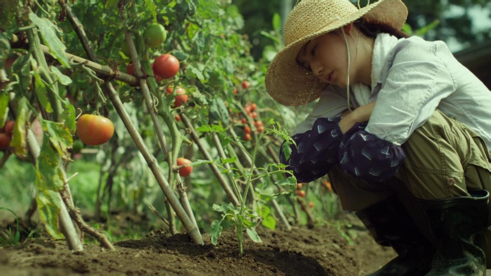 ảnh poster phim Little Forest: Summer/Autumn