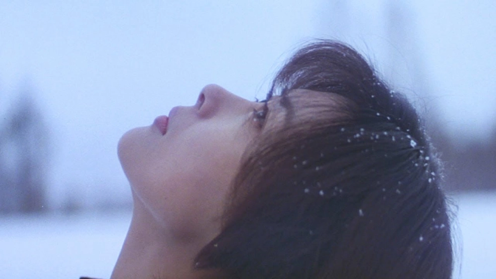 ảnh poster phim Love Letter