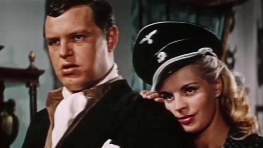 ảnh poster phim Một thời để yêu và một thời để chết (A Time to Love and a Time to Die)