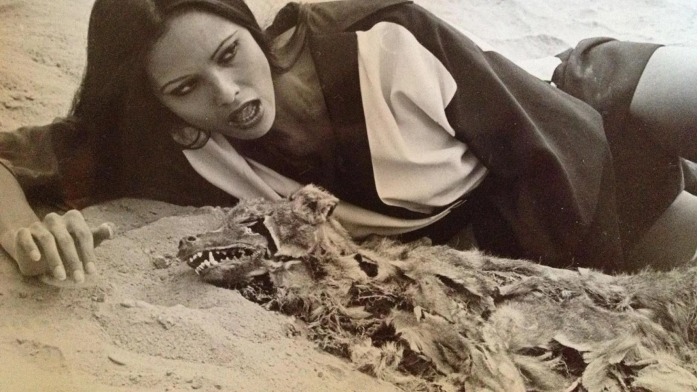 ảnh poster phim Nàng Thơ Đen Trắng (Black Emanuelle, White Emanuelle)