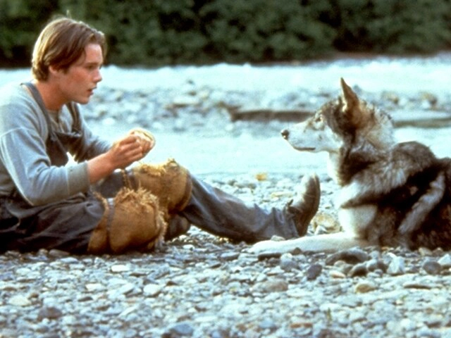 ảnh poster phim Nanh Trắng (White Fang)