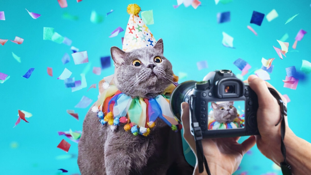 ảnh poster phim Ngôi sao thú cưng (Pet Stars)