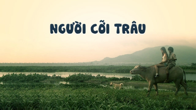 ảnh poster phim Người Cỡi Trâu (Buffalo Rider)