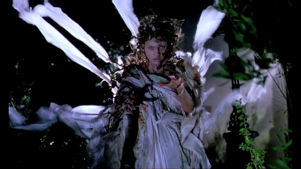 ảnh poster phim Người Gác Nghĩa Trang (Cemetery Man)