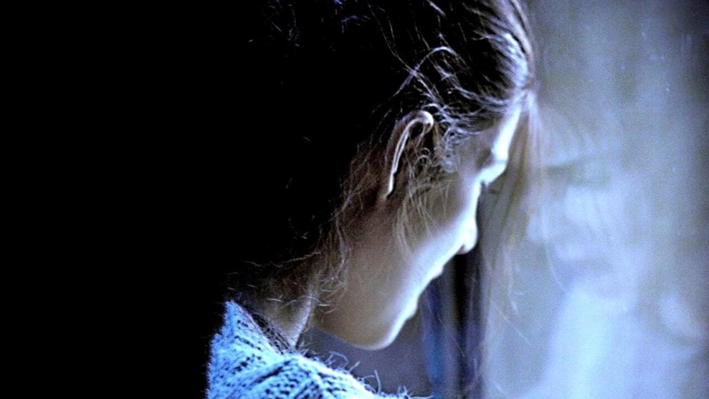 ảnh poster phim Người Giấu Mặt (The Hidden Face)