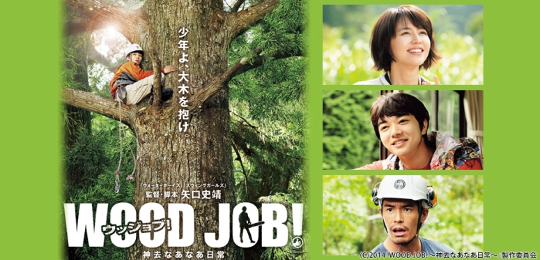 ảnh poster phim Người thợ rừng và cơn mưa (The Woodsman and the Rain)