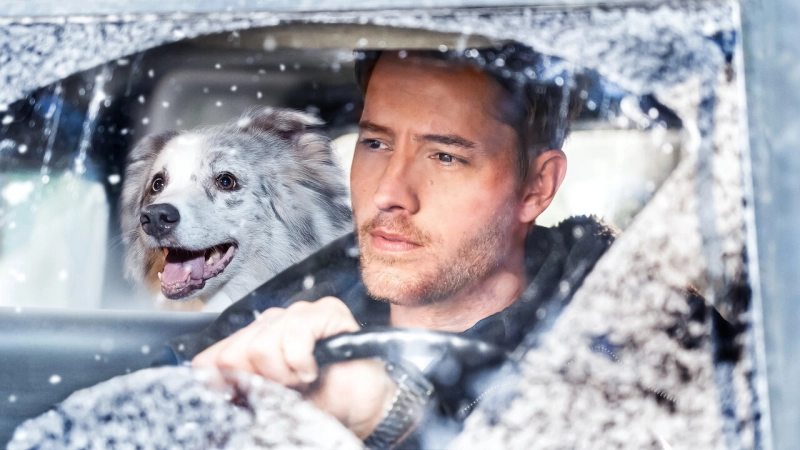 ảnh poster phim Nhật ký Noel (The Noel Diary)