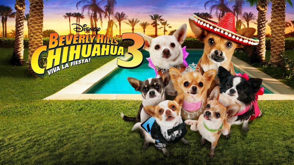 ảnh poster phim Những Chú Chó Chihuahua 3 (Beverly Hills Chihuahua 3: Viva la Fiesta!)