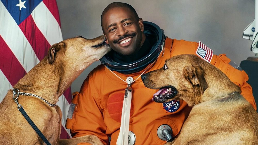 ảnh poster phim Những chú chó (Dogs)