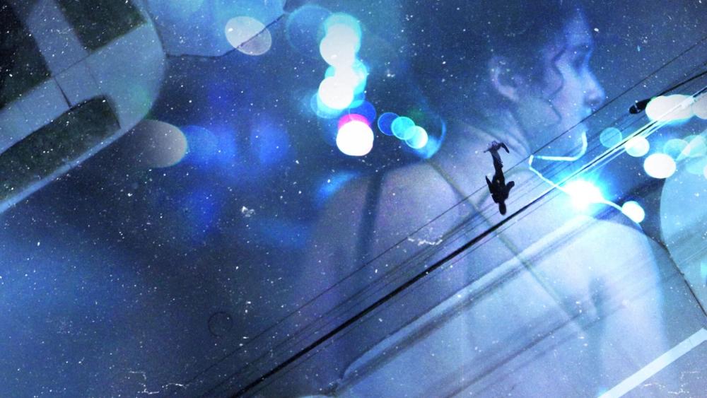 ảnh poster phim Những cô gái mất tích: Sát nhân hàng loạt ở Long Island (Gone Girls: The Long Island Serial Killer)