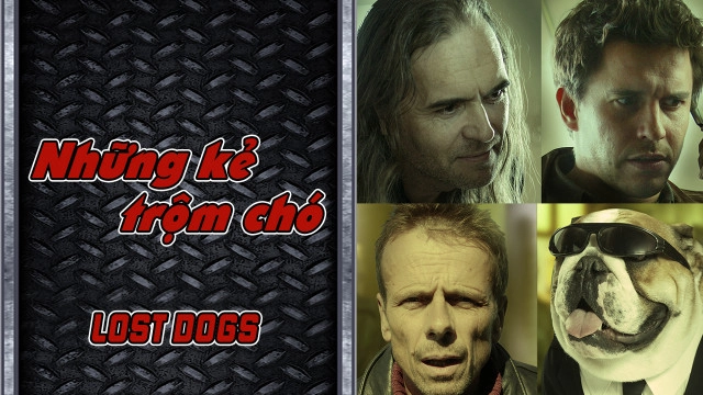 ảnh poster phim Những Kẻ Trộm Chó (Lost Dogs)