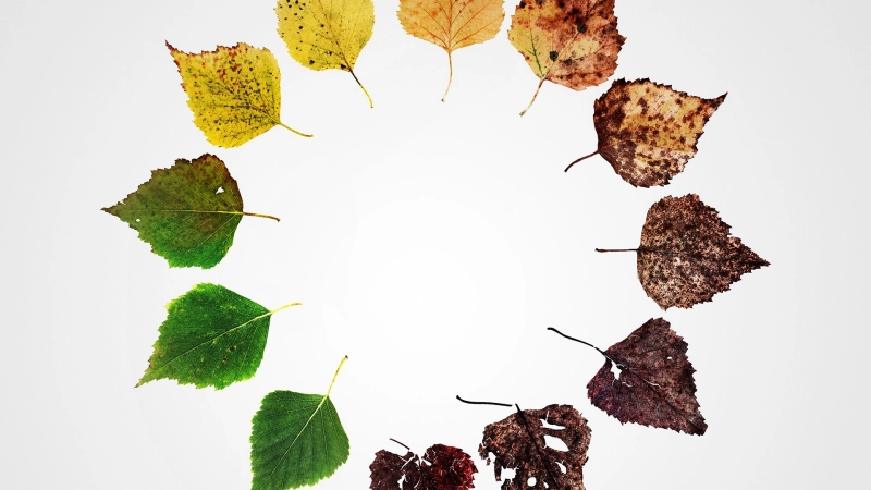 ảnh poster phim Những Kết Thúc Khác: Sáu Cách Mới Để Chết Ở Mỹ (Alternate Endings: Six New Ways to Die in America)