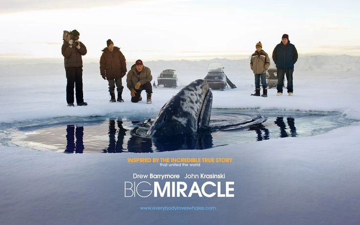 ảnh poster phim Phép Màu (Big Miracle)