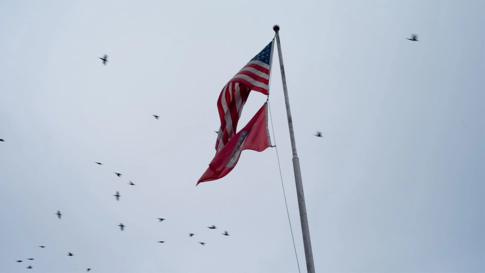 ảnh poster phim Phía Tây Memphis (West of Memphis)