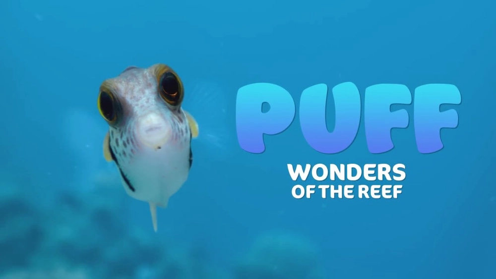 ảnh poster phim Puff: Rạn san hô kỳ diệu (Puff: Wonders of the Reef)