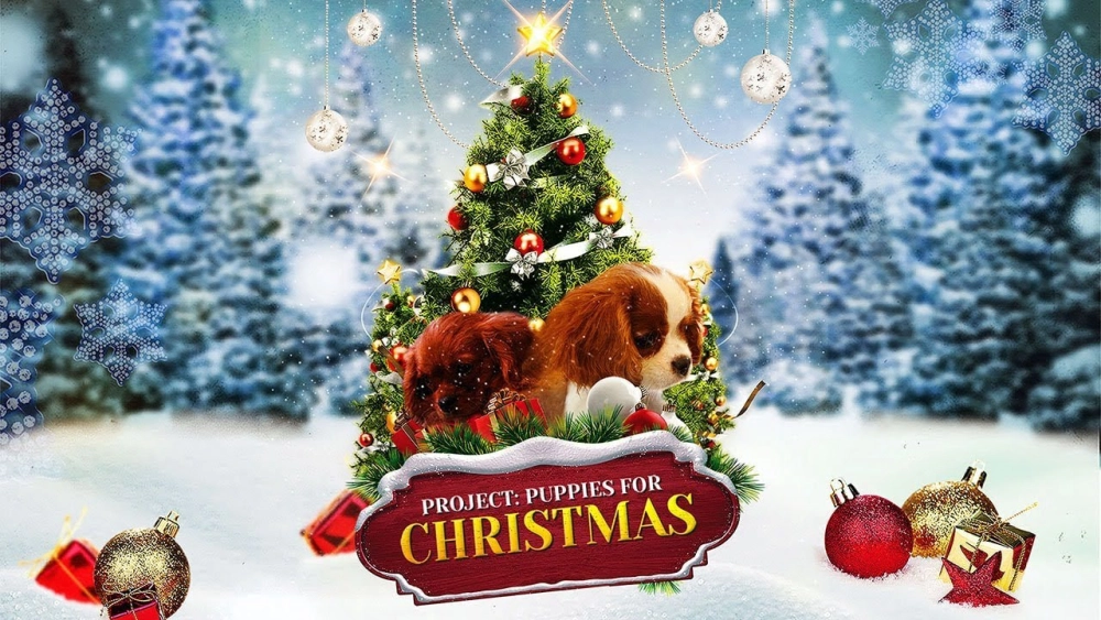 ảnh poster phim Quà Giáng Sinh Bất Ngờ (Project: Puppies for Christmas)