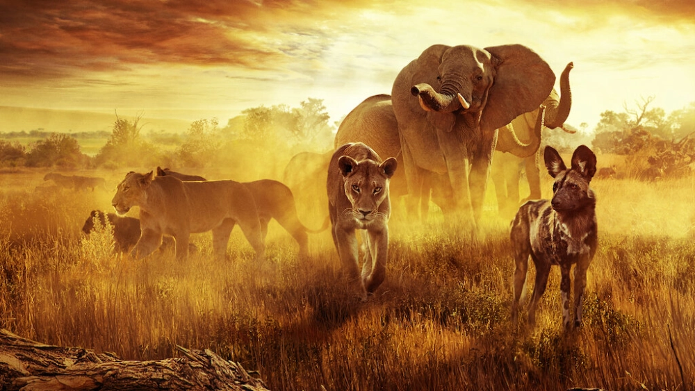 ảnh poster phim Sinh tồn nơi thiên đường: Câu chuyện gia đình động vật (Surviving Paradise: A Family Tale)