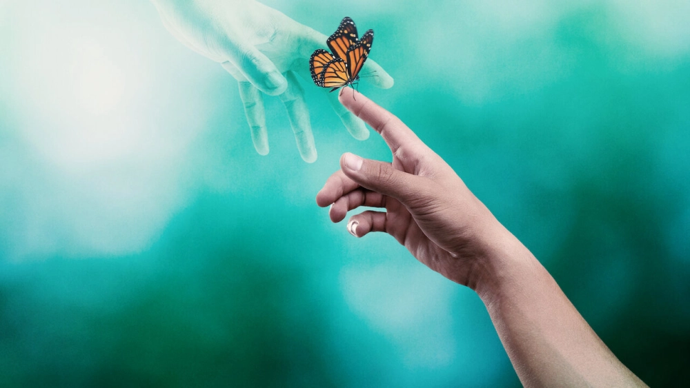 ảnh poster phim Sống sót sau cái chết (Surviving Death)