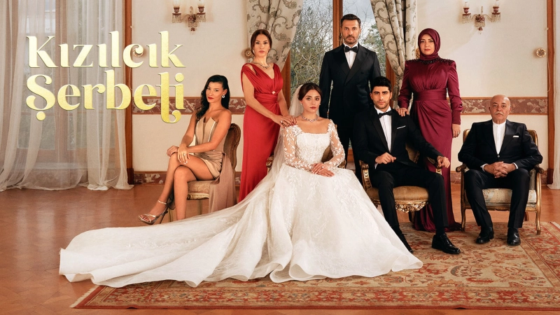 ảnh poster phim Sorbet Nam Việt Quất (Kızılcık Şerbeti)