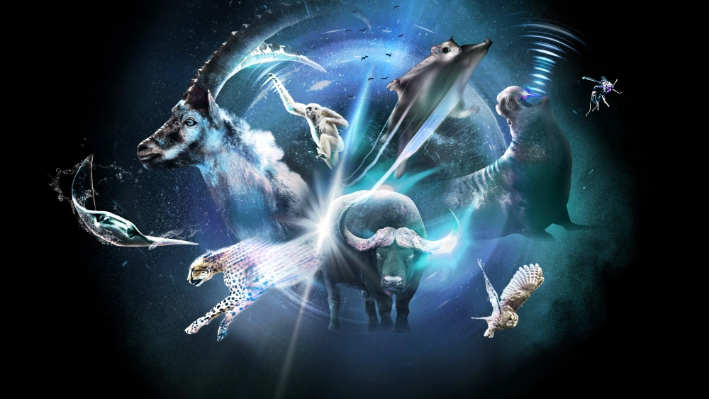 ảnh poster phim Super/Natural