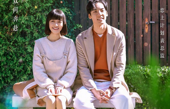 ảnh poster phim Tạm Biệt Vi An (Farewell Vivian)