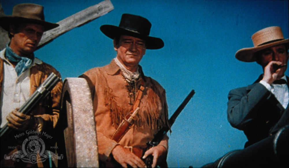 ảnh poster phim The Alamo