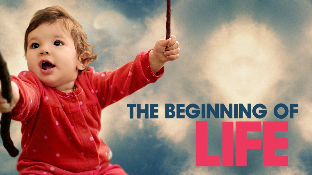 ảnh poster phim The Beginning of Life