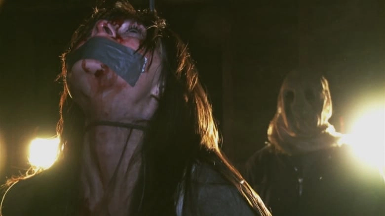 ảnh poster phim The Den