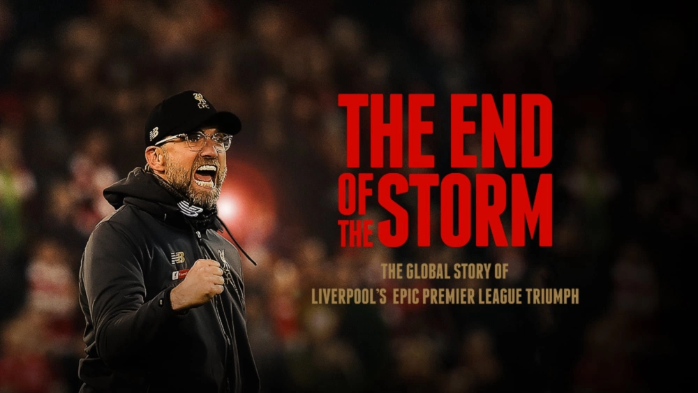 ảnh poster phim The End of the Storm