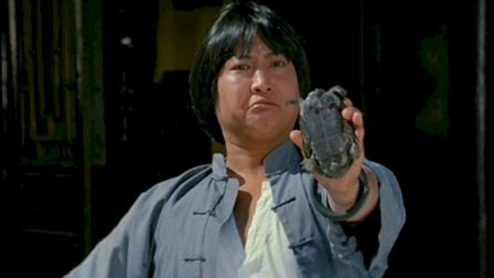 ảnh poster phim The Magnificent Butcher