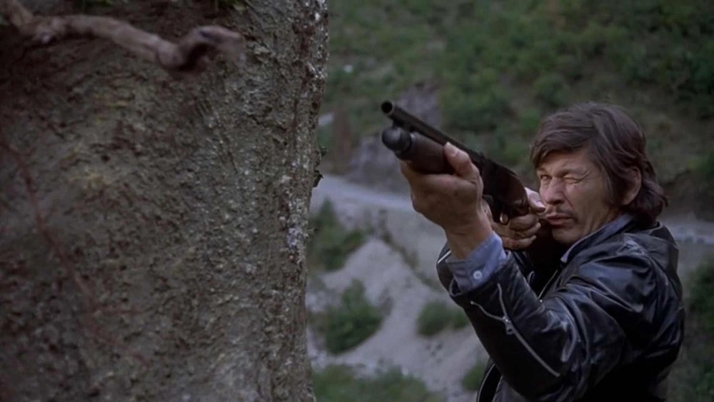 ảnh poster phim The Mechanic