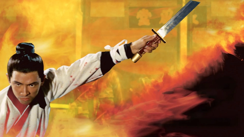 ảnh poster phim The One-Armed Swordsman