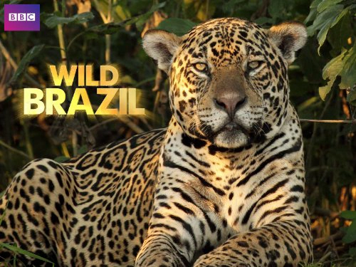 ảnh poster phim Thiên Nhiên Brazil Hoang Dã (Wild Brazil)