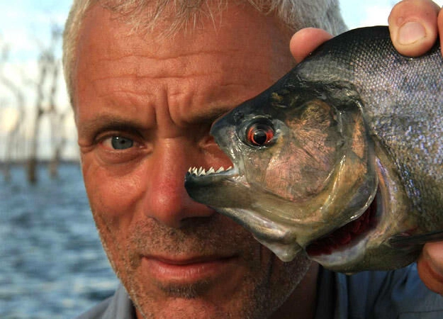 ảnh poster phim Thủy Quái (Phần 1) (River Monsters (Season 1))