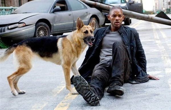 ảnh poster phim Tôi là huyền thoại (I Am Legend)