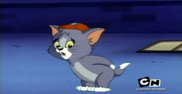 ảnh poster phim Tom and Jerry Kids Show (1990) (Phần 1) (Tom and Jerry Kids Show (1990) (Season 1))
