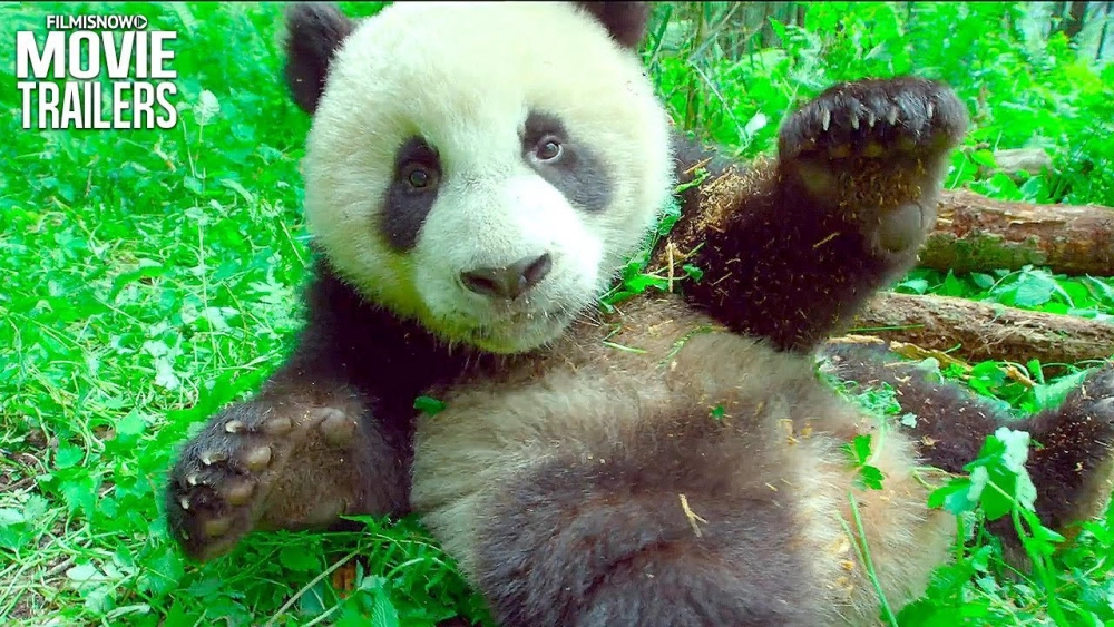 ảnh poster phim Trái Đất: Một Ngày Tuyệt Vời (Earth: One Amazing Day)