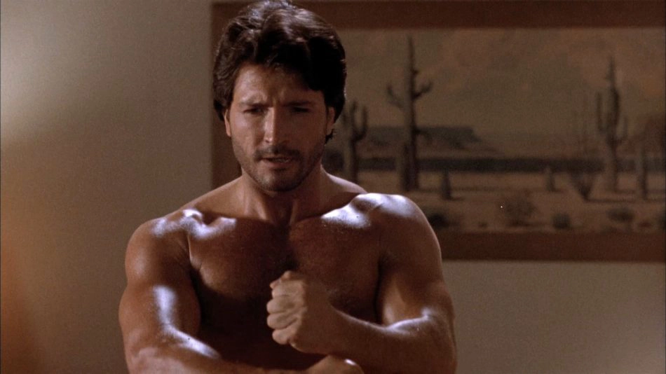 ảnh poster phim Vũ Khí Hoàn Hảo (The Perfect Weapon)