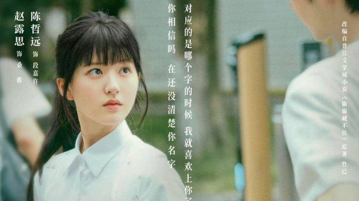 ảnh poster phim Vụng Trộm Không Thể Giấu (Hidden Love)