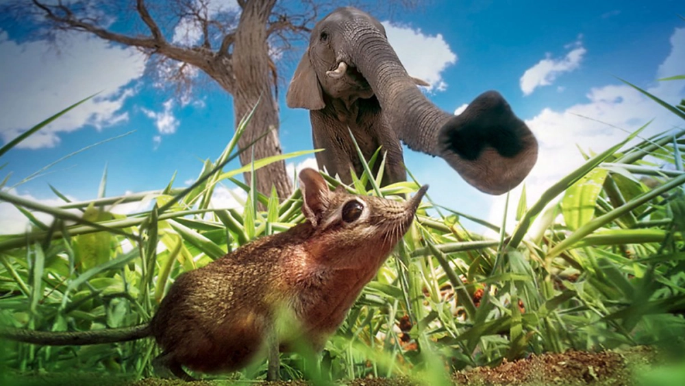 ảnh poster phim Vương Quốc Bí Ẩn (Hidden Kingdoms)