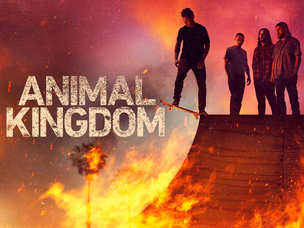 ảnh poster phim Vương quốc động vật (Phần 6) (Animal Kingdom (Season 6))