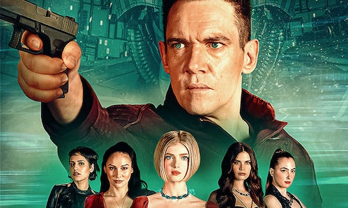 ảnh poster phim WifeLike