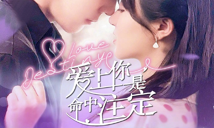 ảnh poster phim Yêu Em Là Định Mệnh (Love Destiny)