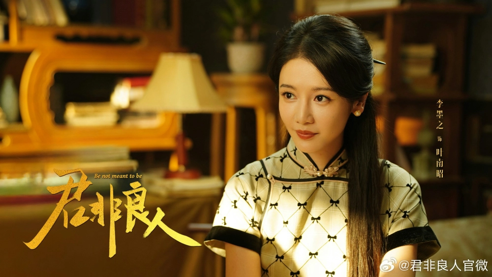 ảnh poster phim Chàng Không Phải Người Tốt