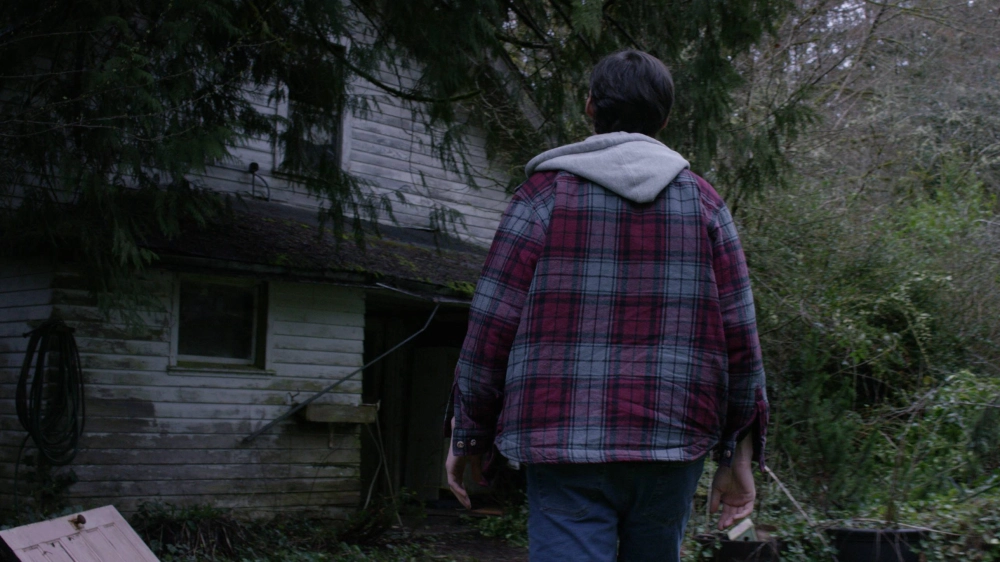 ảnh poster phim Ayla