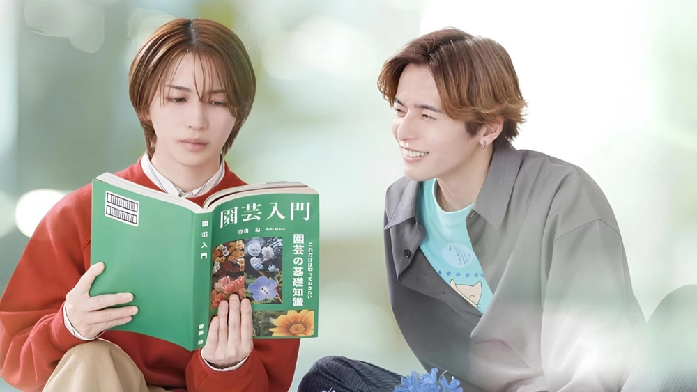 ảnh poster phim Cách Viết Tình Yêu Đúng Cách