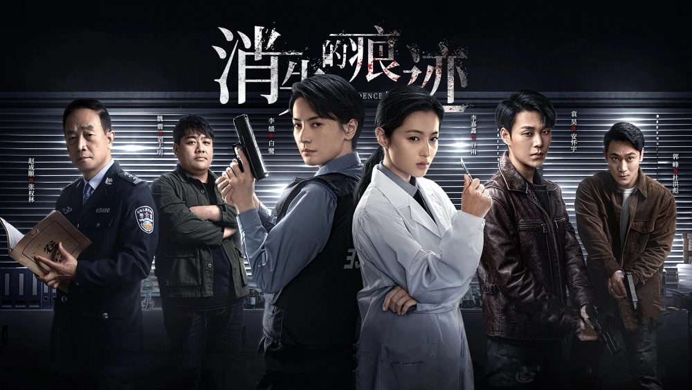 ảnh poster phim Dấu Vết Biến Mất