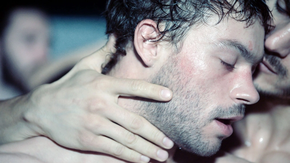 ảnh poster phim Sauvage